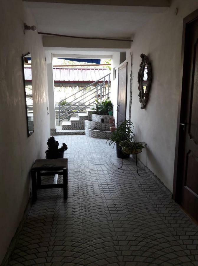 Guest House Kobuleti #788 Екстер'єр фото